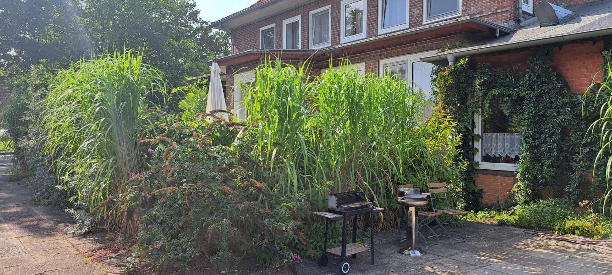 Schillers Landhaus Neu Darchau Esterno foto