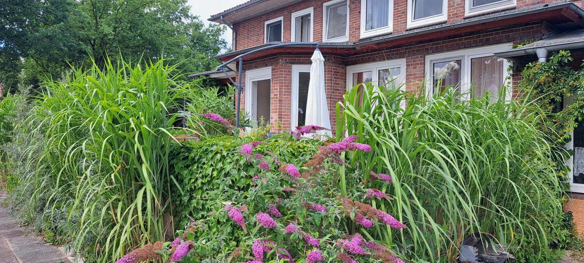Schillers Landhaus Neu Darchau Esterno foto